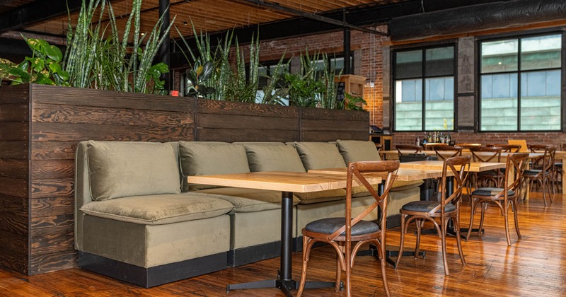 Interior, wooden top tables with chairs and padded banquette seating, plant decor