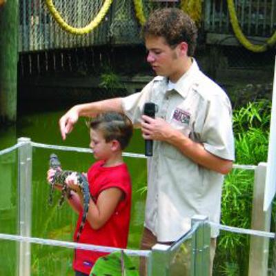 An employee and a kid with a juvenile alligator at a gator show.