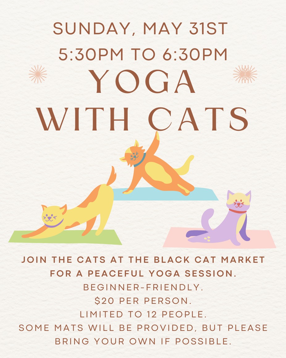 Yoga with Cats - May 31st event photo
