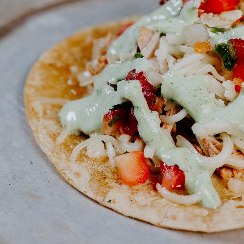 Gringo Pollo* (T) photo