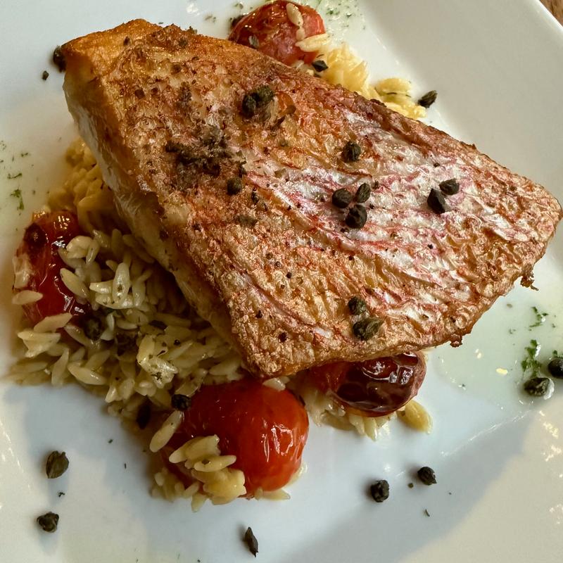 Snapper & Lemon-Herb Orzo photo