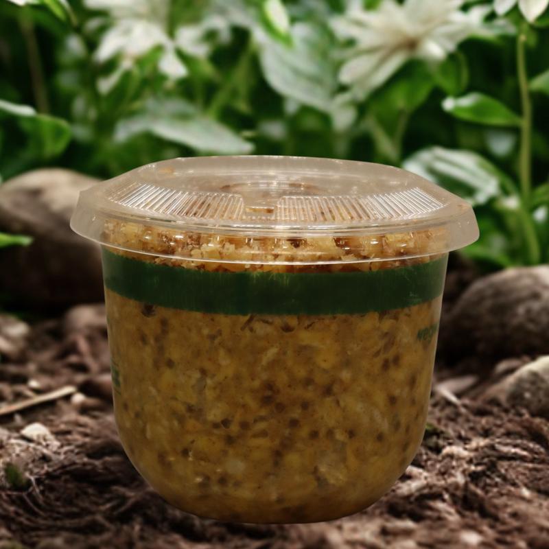 Apple Pie Protein Overnight Oats photo