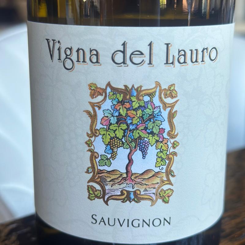 Vigna del Lauro, Collio photo