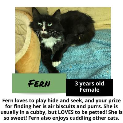 gallery photo number 5