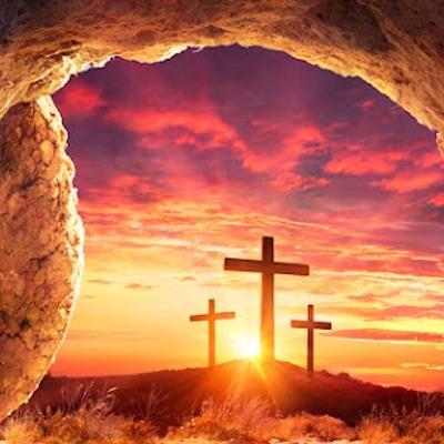 gallery photo number 164