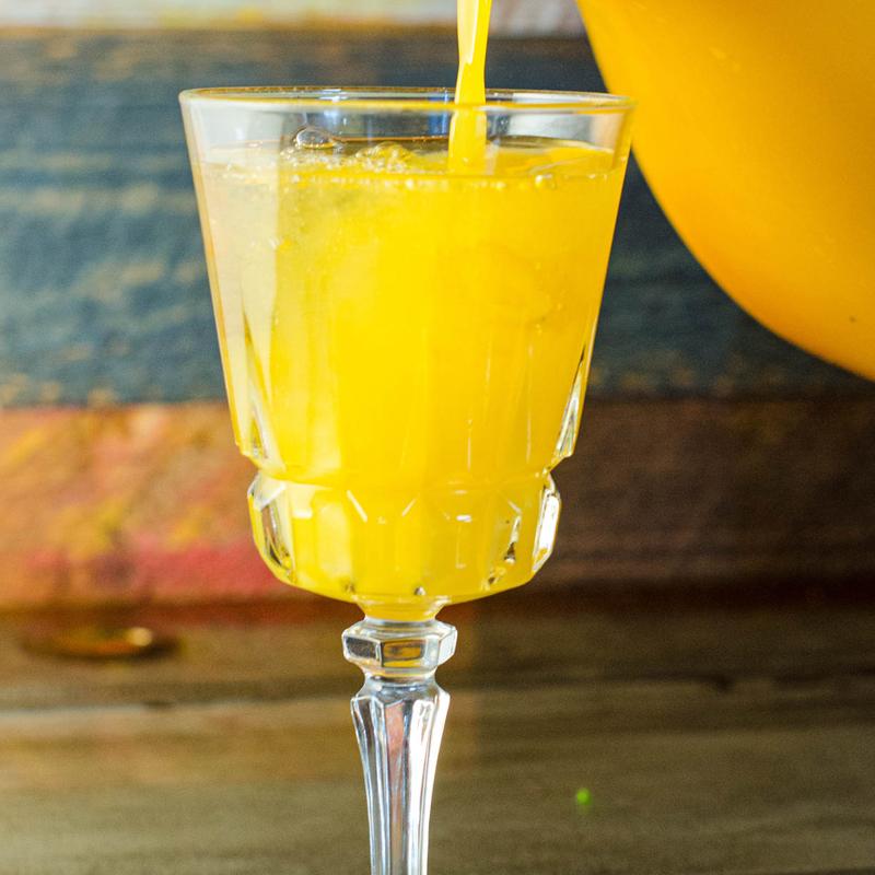 Classic Mimosa photo