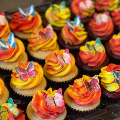 gallery photo number 17