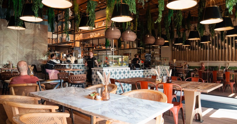 Modern café interior with plants hanging from the ceiling, wicker and wooden chairs