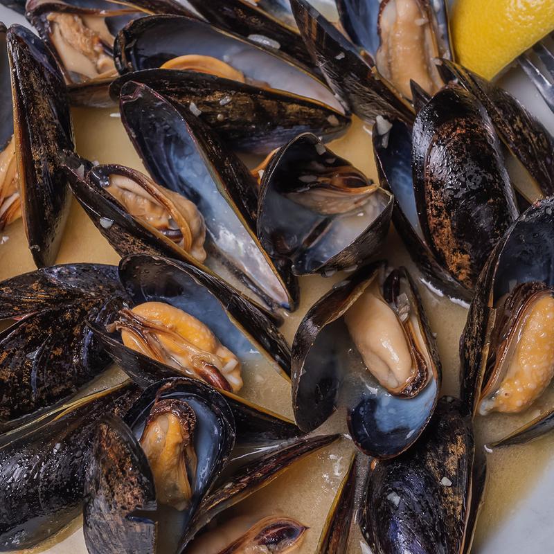Mussels photo