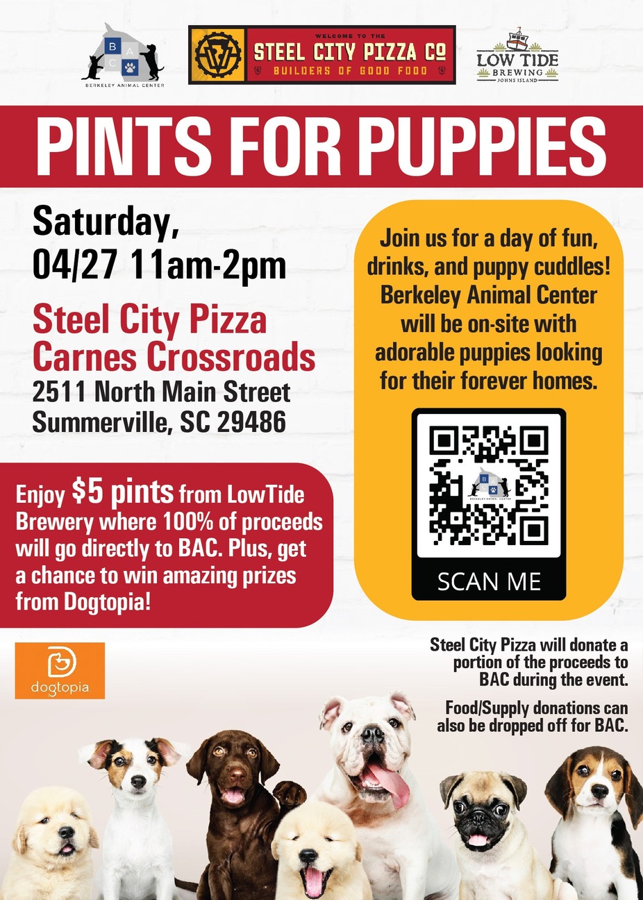 Puppies for Pints event photo
