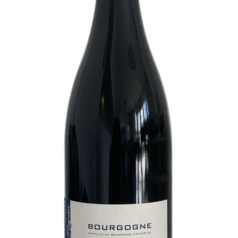 Sebastian Magnien photo