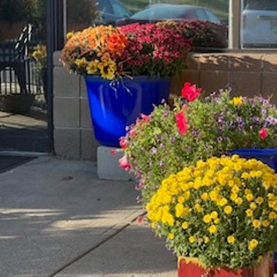 red yellow orange fall flowers on our patio creating an enticing atmosphere.