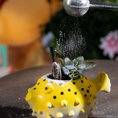 gallery photo number 22