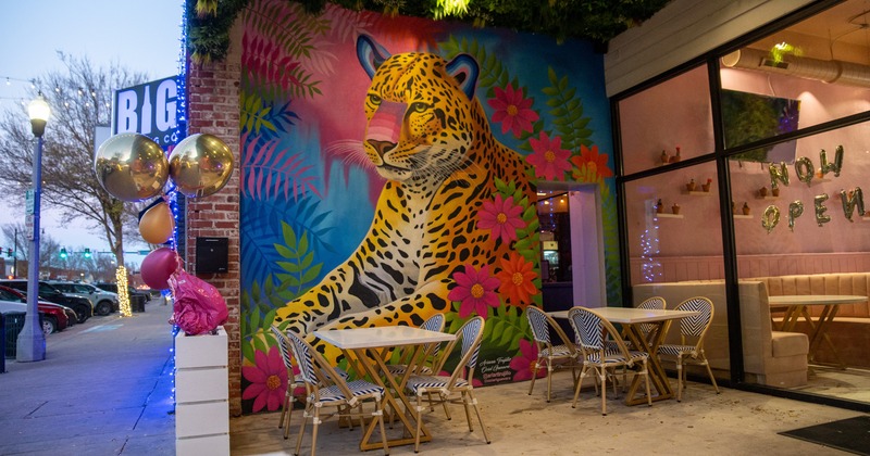 Exterior, patio, tables, chairs, a leopard painted over wall