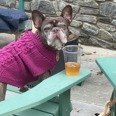 gallery photo number 26