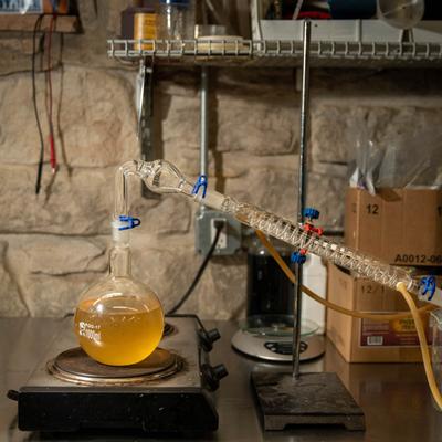 gallery photo number 5