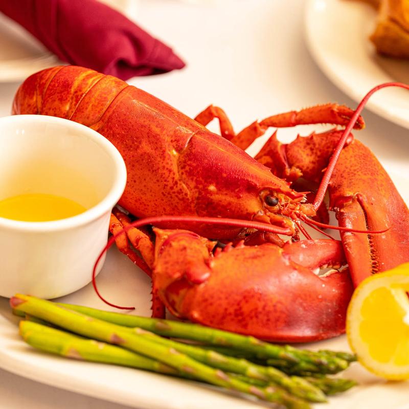 Single Lobster photo