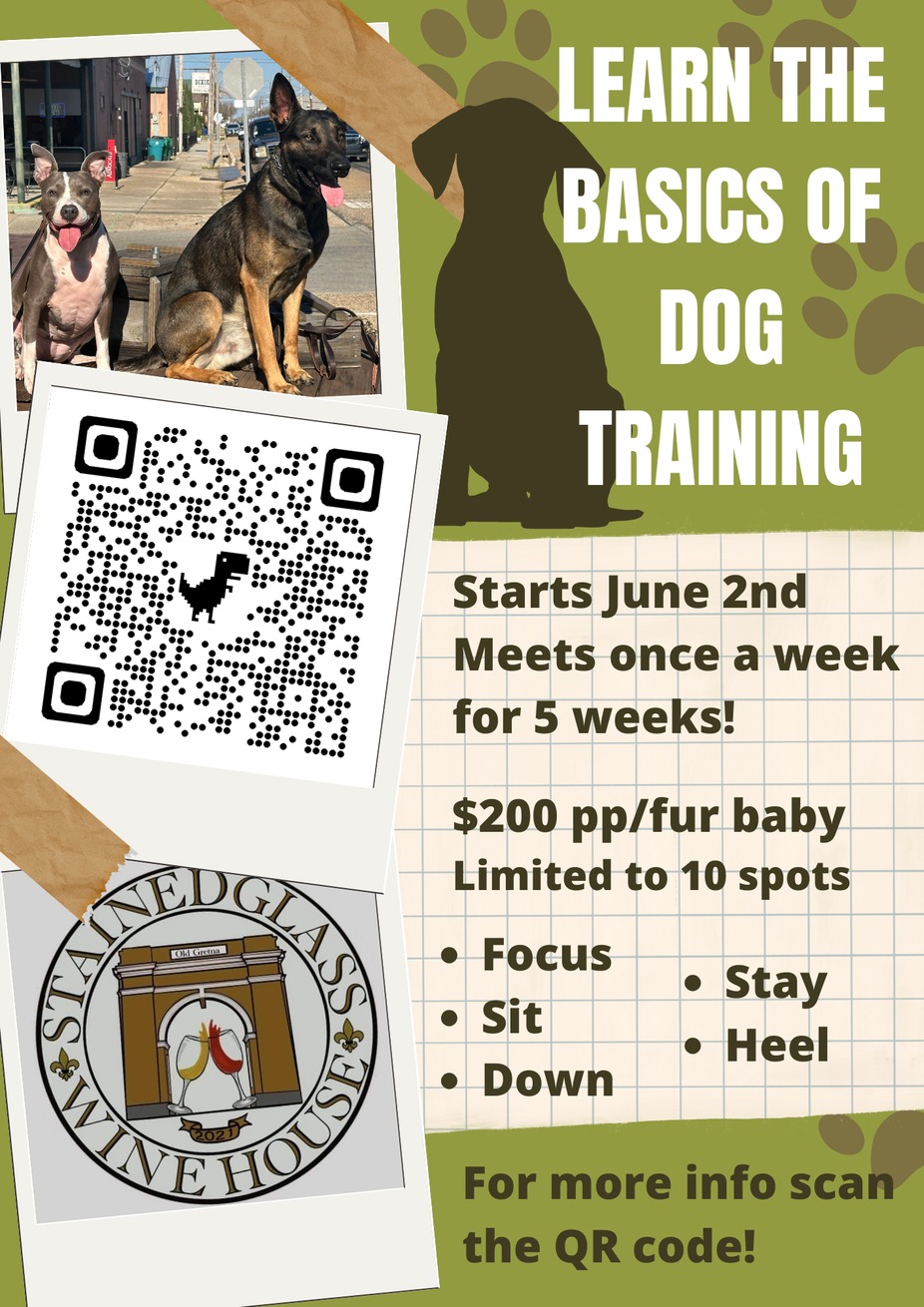 Basic Dog Training event photo