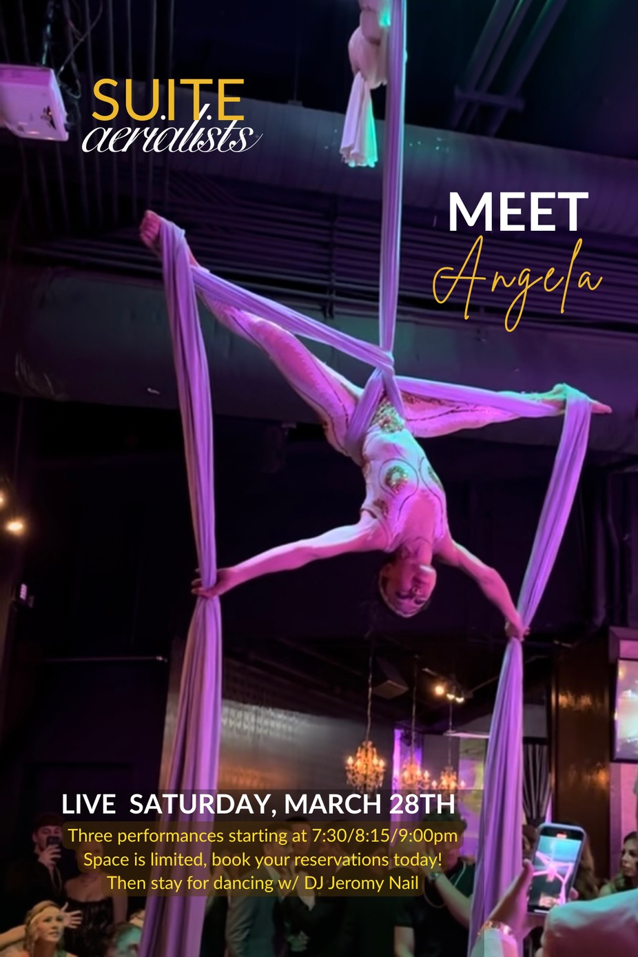 Aerial Performances event photo