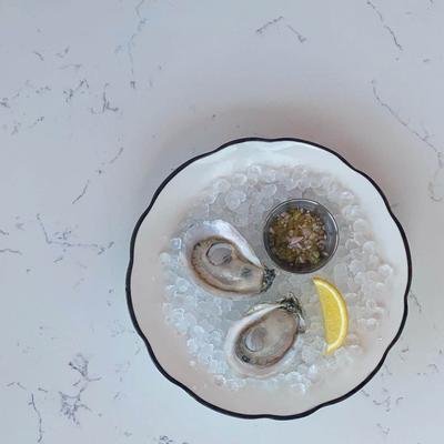 Oysters on the half shell, top view