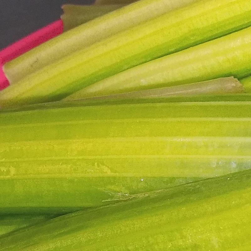 Celery photo