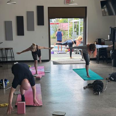 Guests doing yoga.