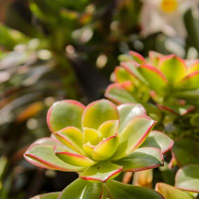 gallery photo number 114