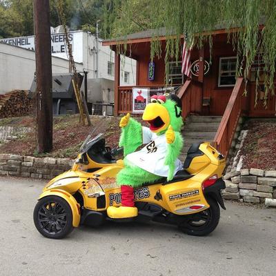 Pittsburgh Pirates mascot.