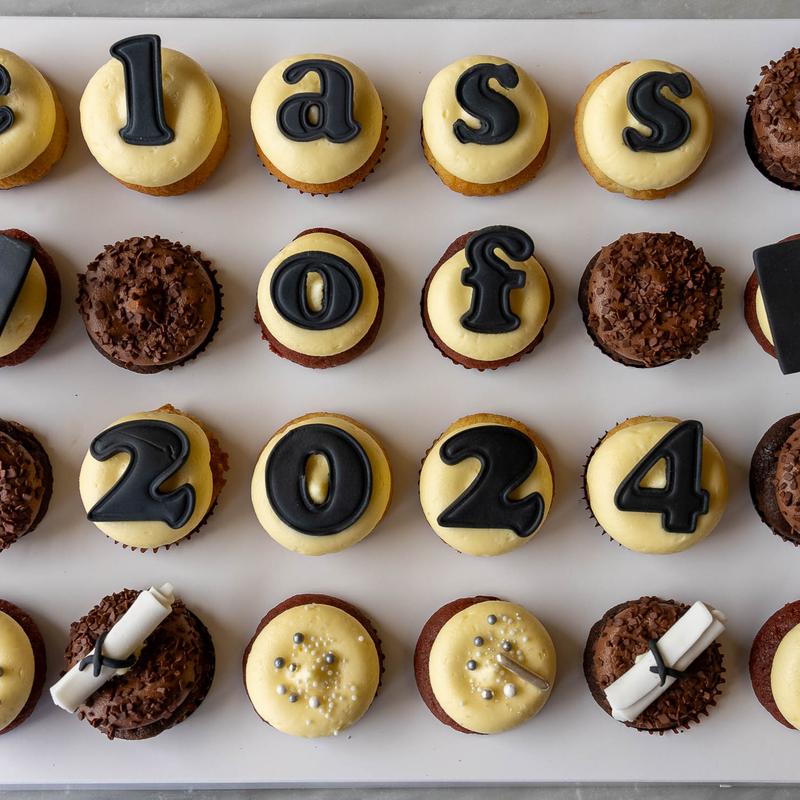 The class of 2024 minis photo