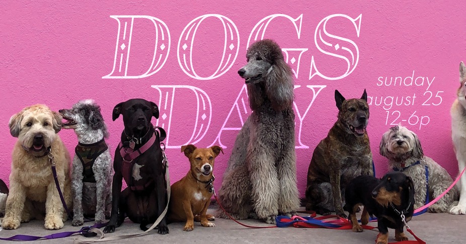 Dogs Day event photo