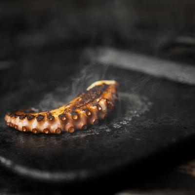 Octopus on a hot grill.
