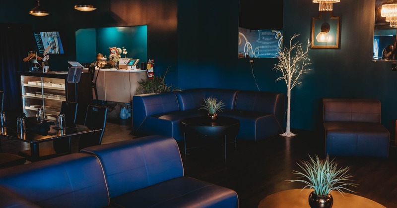 Interior, lounge area, leather padded sofas with coffee tables, potted plants decoration