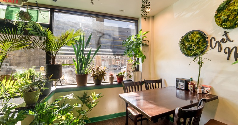 Dining table and plants