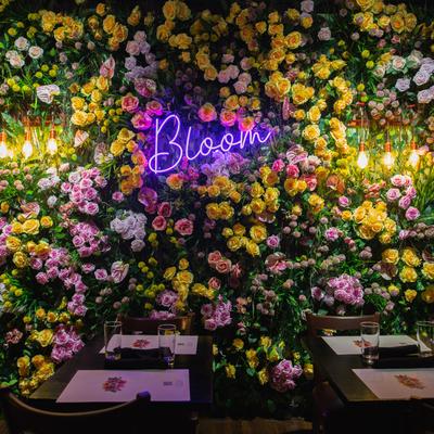 gallery photo number 40