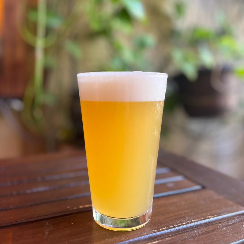 The Cat's Hazy IPA photo