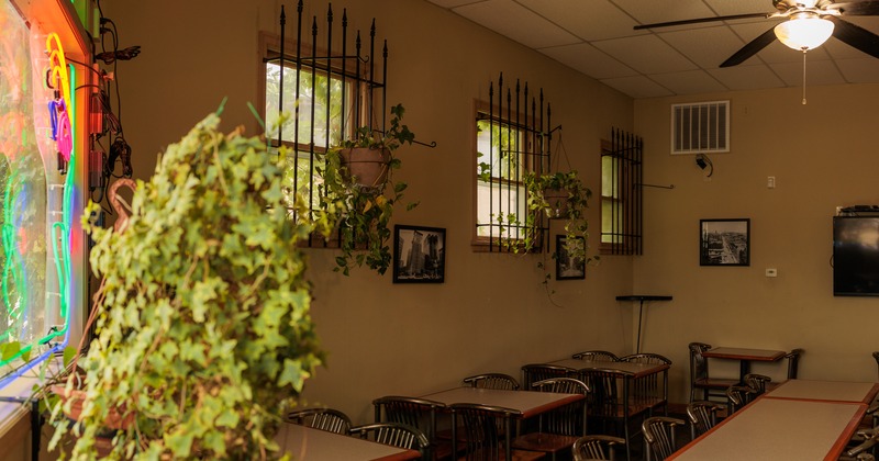 Interior, tables and seats, plant pots on windows, pictures on walls