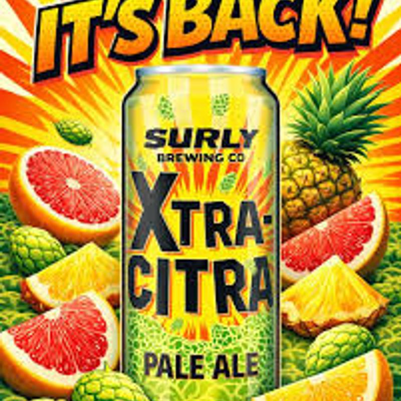 SURLY XTRA CITRA photo