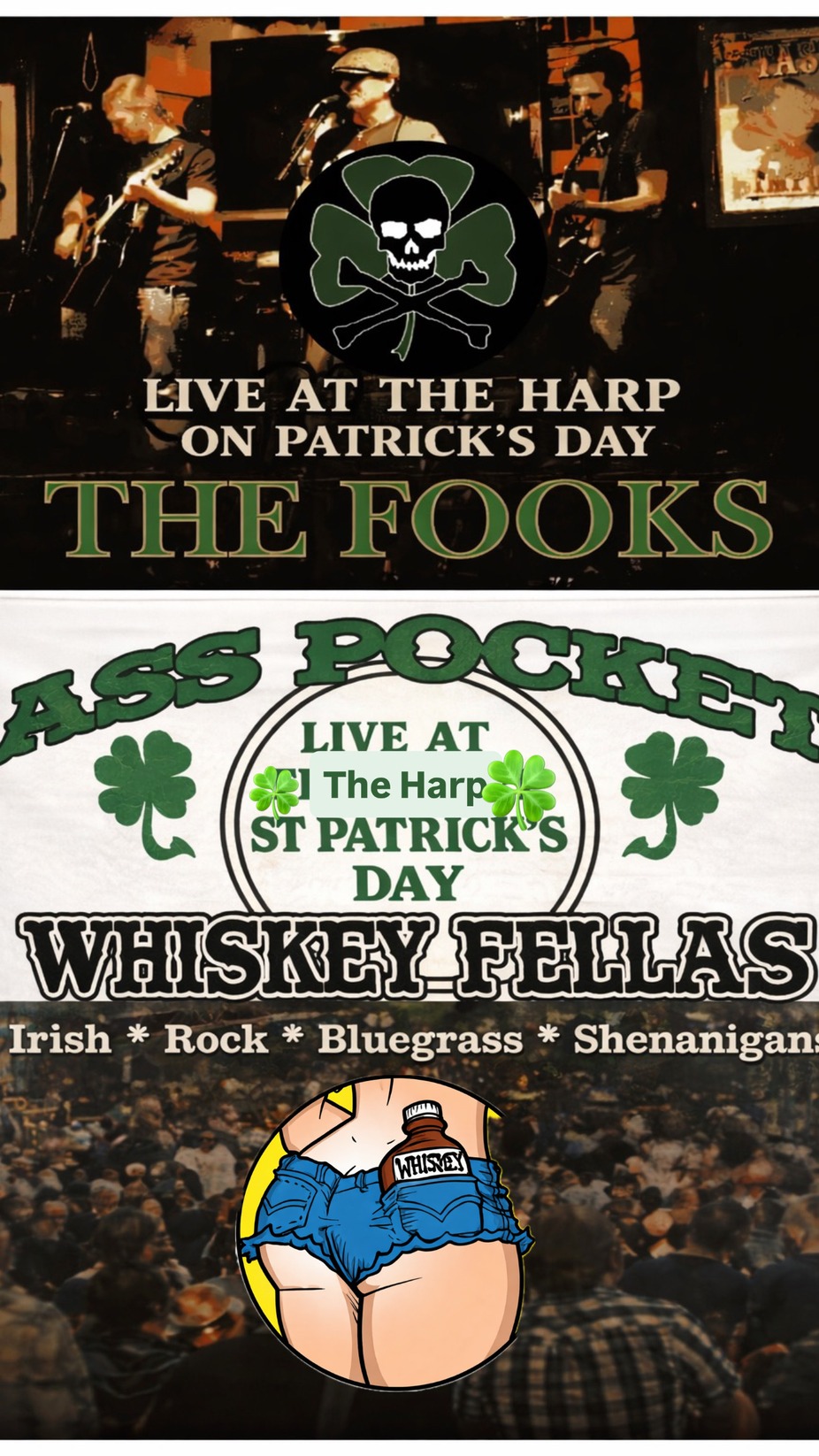 St Patrick’s Day event photo