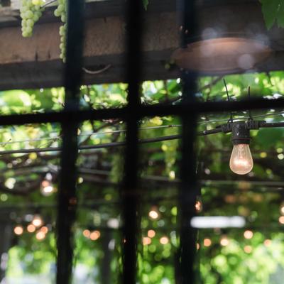 gallery photo number 37