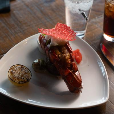 gallery photo number 245