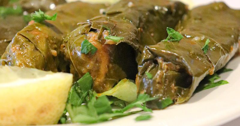 Dolma