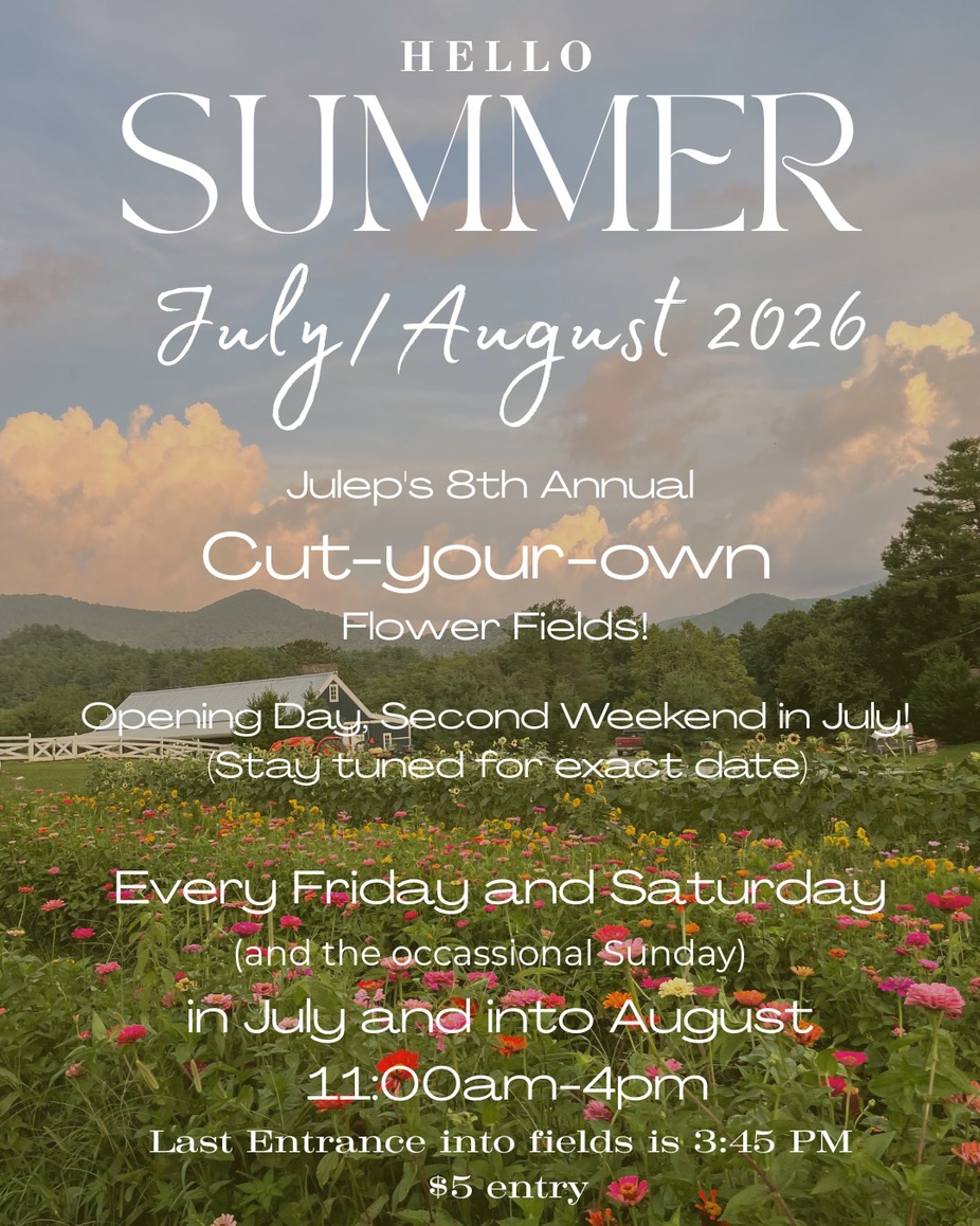 8th Annual Flower Fields- Starting Friday, July 10th! event photo