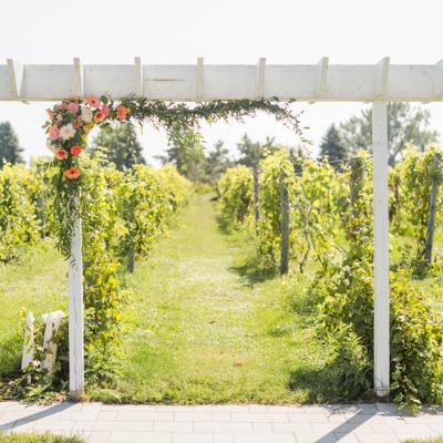Wedding Arch in Vineyard Ceremony at Next Chapter Winery.