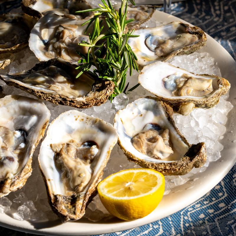 Oysters* photo