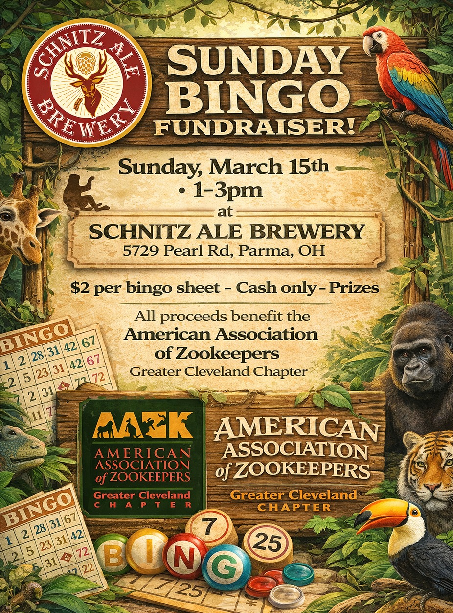 Sunday Bingo AAZK Fundraiser event photo
