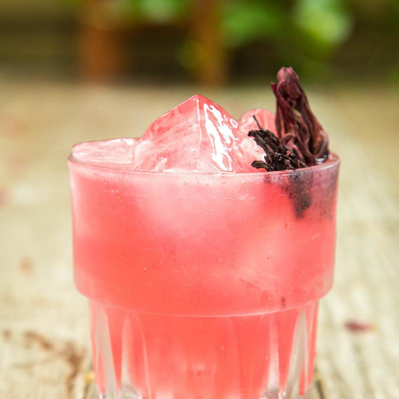 Zihuatanejo Hibiscus Skinny photo