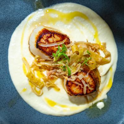 Scallops and braised leeks, top view