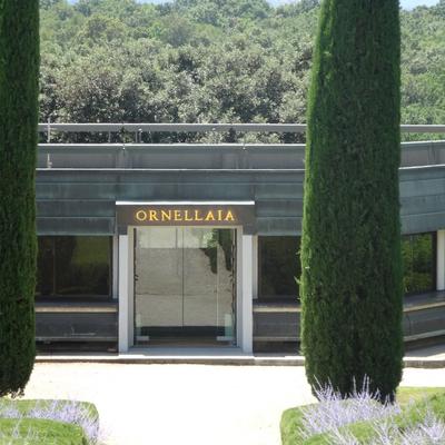 Restaurant entrance framed by tall cypress trees.