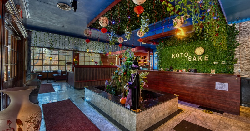 Interior, reception room and counter, green wall with plants behind, sign above, fountain in the middle