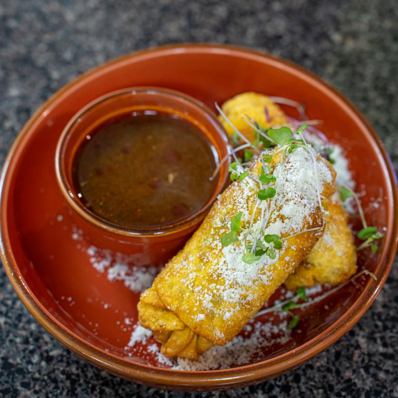 Birria Egg Rolls (2) photo